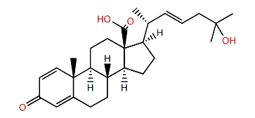 Paraminabic acid C